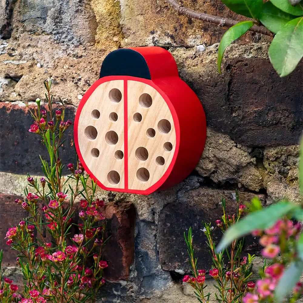 Bug Hotel